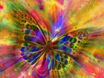Colorful Butterfly