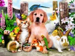 Good Companions