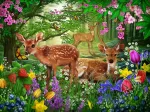 Spirit of Spring