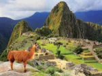 Machu Picchu Perou