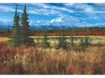 Etats-Unis : Parc National De Denali