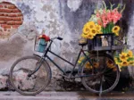 Bicycle with flowers