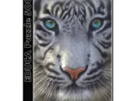 Tigre Blanc