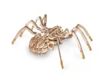 Puzzle 3D en Bois - Araignée