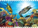 Puzzle en Bois - L'Oasis Corail