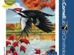 Pileated Woodpecker Mini