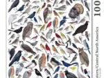 Birds of Eastern - Central North America