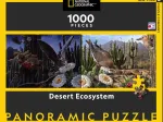 Desert Ecosystem