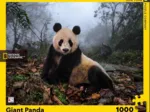 Giant Panda