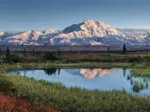 Denali National Park