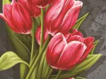 Tulipes Rouges