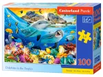 Dauphins dans les Tropiques