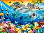 Dauphins sous les Tropiques
