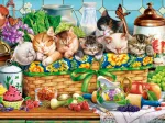 Chatons qui Font la Sieste