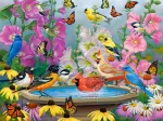 Rythme de la Nature
