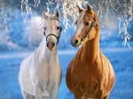 The Winter Horses