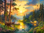 Coucher de Soleil sur la Rivière de la Forêt