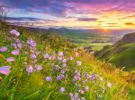 Campagne au Lever du Soleil