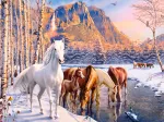 Fonte d'Hiver
