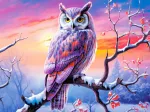 Soirée Idéale du Hibou