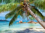 Plage Tropicale