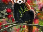 Panda Roux Assis sur une Branche