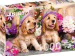 Chiots aux Chapeaux de Fleurs