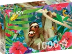 Sweet Sloths