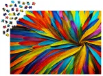 Colorful Feathers