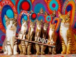 Cinq Chats