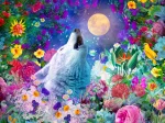 La Nuit du Loup