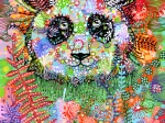 Enigmatic Panda
