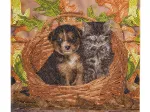 Crystal Art - Kit Broderie Diamant - Chat et Chien