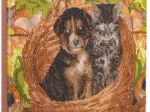 Crystal Art - Kit Broderie Diamant - Chat et Chien