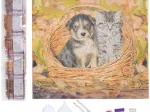 Crystal Art - Kit Broderie Diamant - Chat et Chien