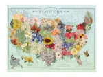 États-Unis en Fleurs - Puzzle 1000 Pièces