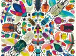 Kaleido Coléoptères - Puzzle Familial de 500 Pièces
