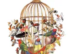 Bouquet d'Oiseaux - Puzzle Forme de 750 pièces