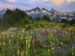 Tatoosh Mountains