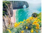 Paysage - Les Falaises D'Etretat - Normandie