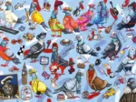 Pigeons of Britain