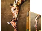 La maman girafe et son girafon