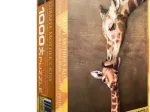 La maman girafe et son girafon