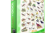 Affiche sur les Oiseaux