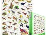 Affiche sur les Oiseaux