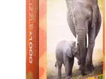 L'éléphant et l'éléphanteau