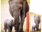 L'éléphant et l'éléphanteau