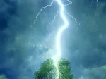 Foudre frappant un arbre