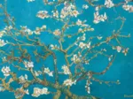 Van Gogh : Branche d'amandier en fleurs