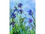 Claude Monet : Iris (détail)